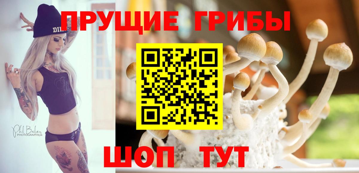 купить наркотики сайты  Галлюциногенные грибы мухоморы  Вход с VPN  Мурино 