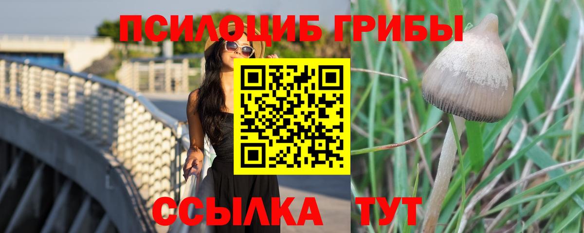 Псилоцибиновые грибы ЛСД Мурино